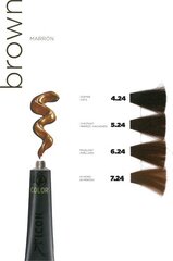 Plaukų dažai be amoniako Ecotech Color I.c.o.n. 5.24, 60 ml kaina ir informacija | Plaukų dažai | pigu.lt
