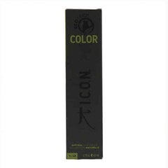 Краска без содержания аммиака Color Ecotech Icon Nº 10.2  цена и информация | Краска для волос | pigu.lt