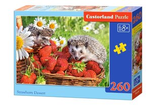 Dėlionė Castorland Strawberry Dessert, 260 dalių kaina ir informacija | Dėlionės (puzzle) | pigu.lt