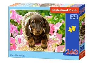 Dėlionė Castorland Cute Dachshund, 260 dalių kaina ir informacija | Dėlionės (puzzle) | pigu.lt