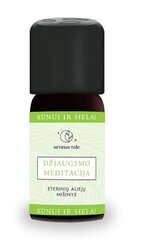 Eterinių aliejų mišinys džiaugsmo meditacija, 10 ml цена и информация | Эфирные, косметические масла, гидролаты | pigu.lt