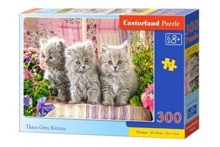 Dėlionė Castorland Three Grey Kittens, 300 dalių kaina ir informacija | Dėlionės (puzzle) | pigu.lt