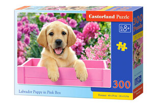 Dėlionė Castorland Labrador Puppy in Pink Box, 300 dalių kaina ir informacija | Dėlionės (puzzle) | pigu.lt