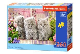 Пазл Castorland Three Grey Kittens, 260 деталей цена и информация | Пазлы | pigu.lt