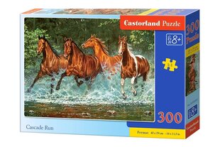 Пазл Castorland Cascade Run Puzzle, 300 деталей цена и информация | Пазлы | pigu.lt