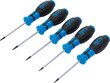 Atsuktuvų rinkinys BGS Technic 6828, TORX, 5VNT. kaina ir informacija | Mechaniniai įrankiai | pigu.lt