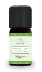 Eterinių aliejų mišinys potencialo meditacija, 10 ml цена и информация | Эфирные, косметические масла, гидролаты | pigu.lt