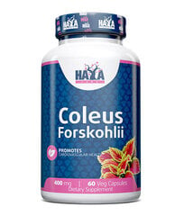 Maisto papildas Haya Labs Coleus Forskohlii 60 kaps. kaina ir informacija | Vitaminai | pigu.lt