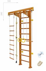 Medinė švediška gimnastikos sienelė SANRO D224 243x153cm kaina ir informacija | Gimnastikos sienelės | pigu.lt
