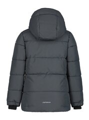 Детская куртка Icepeak Loris 300 г 50034-2*270, h 6438522684806 цена и информация | Куртки, пальто для девочек | pigu.lt