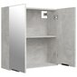 Veidrodinė vonios spintelė, betono pilka, 64x20x67cm kaina ir informacija | Vonios spintelės | pigu.lt