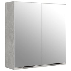 Veidrodinė vonios spintelė, betono pilka, 64x20x67cm цена и информация | Шкафчики для ванной | pigu.lt