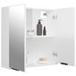 Veidrodinė vonios spintelė, balta, 64x20x67cm, blizgi kaina ir informacija | Vonios spintelės | pigu.lt