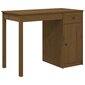 Rašomasis stalas, medaus rudas, 100x50x75cm, pušies masyvas цена и информация | Kompiuteriniai, rašomieji stalai | pigu.lt
