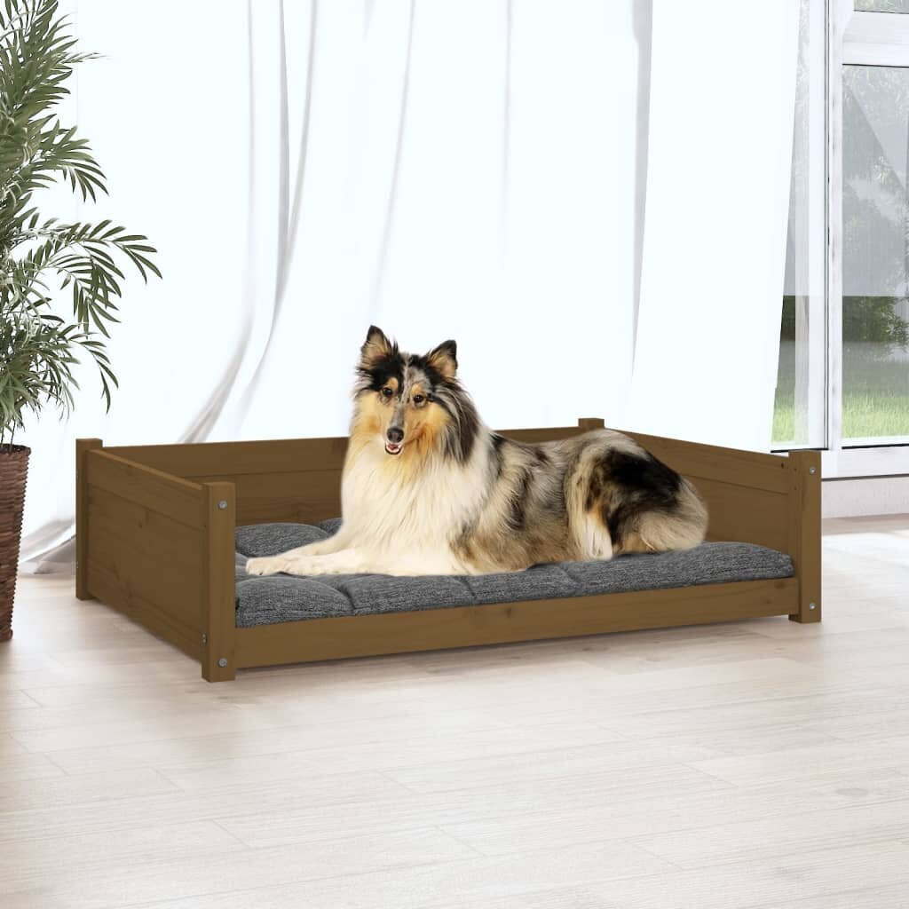 Lova šunims, ruda, 95.5 x 65.5 cm kaina ir informacija | Guoliai, pagalvėlės | pigu.lt