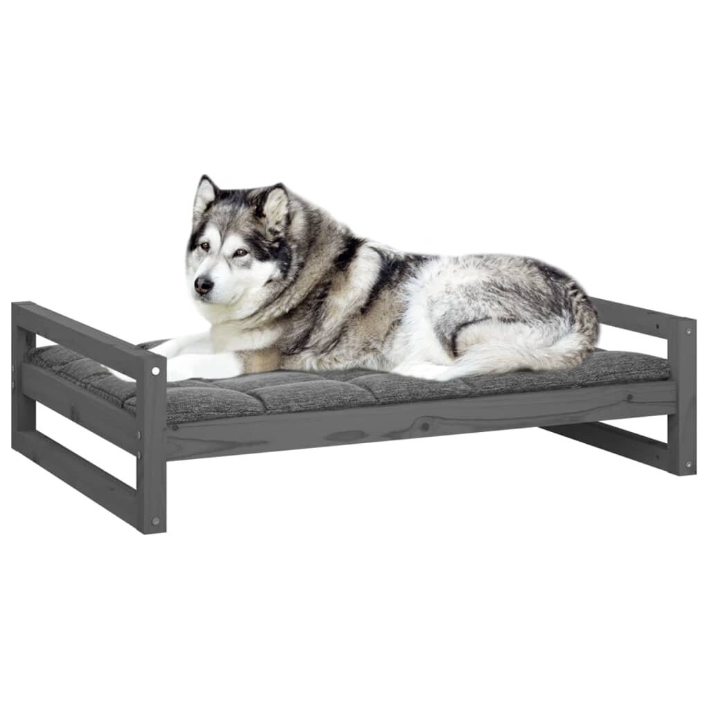 Lova šunims, pilka, 105,5x75,5x28cm, pušies medienos masyvas kaina ir informacija | Guoliai, pagalvėlės | pigu.lt
