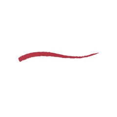 Автоматический карандаш для губ Kiko Milano Everlasting Colour Precision Lip Liner, 415 Sangria цена и информация | Помады, бальзамы, блеск для губ | pigu.lt