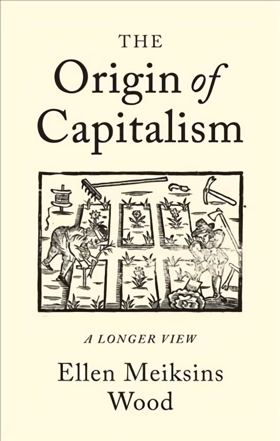 Origin of Capitalism: A Longer View цена и информация | Ekonomikos knygos | pigu.lt