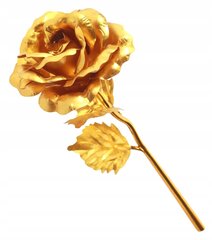 24K Золотая спящая роза цена и информация | Спящие стабилизированные розы, растения | pigu.lt