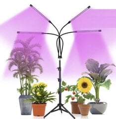 LED Lempa augalų auginimui 4 vnt kaina ir informacija | Daigyklos, lempos augalams | pigu.lt