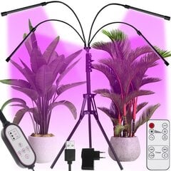 LED Lempa augalų auginimui 4 vnt kaina ir informacija | Daigyklos, lempos augalams | pigu.lt