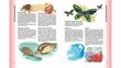 Большая энциклопедия животных kaina ir informacija | Lavinamosios knygos | pigu.lt
