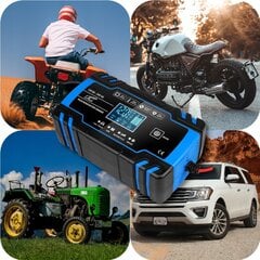 Automatinis baterijų įkroviklis, 12V, 24V LCD kaina ir informacija | Akumuliatorių krovikliai | pigu.lt