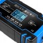 Automatinis baterijų įkroviklis, 12V, 24V LCD цена и информация | Akumuliatorių krovikliai | pigu.lt