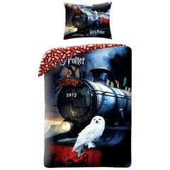 Детский комплект постельного белья Harry Potter  140x200см, 2 части цена и информация | Детское постельное бельё | pigu.lt