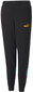 Kelnės Paaugliams Ess Block Sweatpants Black 849083 51 849083 51/140 kaina ir informacija | Kelnės berniukams | pigu.lt