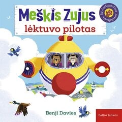 Meškis Zujus, lėktuvo pilotas цена и информация | Развивающие книги | pigu.lt