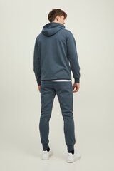 Спортивная кофтa Jack&Jones 12204926ORIONBLUE-M цена и информация | Мужские свитера | pigu.lt