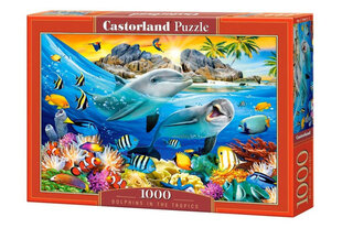 Dėlionė Castorland Dolphins in the Tropics, 1000 dalių kaina ir informacija | Dėlionės (puzzle) | pigu.lt