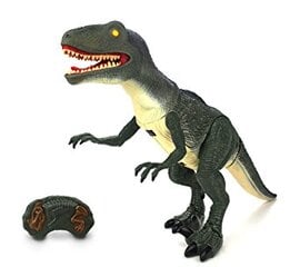 Dinozaur Velociraptor RC + dźwięki цена и информация | Игрушки для мальчиков | pigu.lt