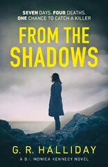 From the Shadows: Introducing your new favourite Scottish detective series kaina ir informacija | Fantastinės, mistinės knygos | pigu.lt