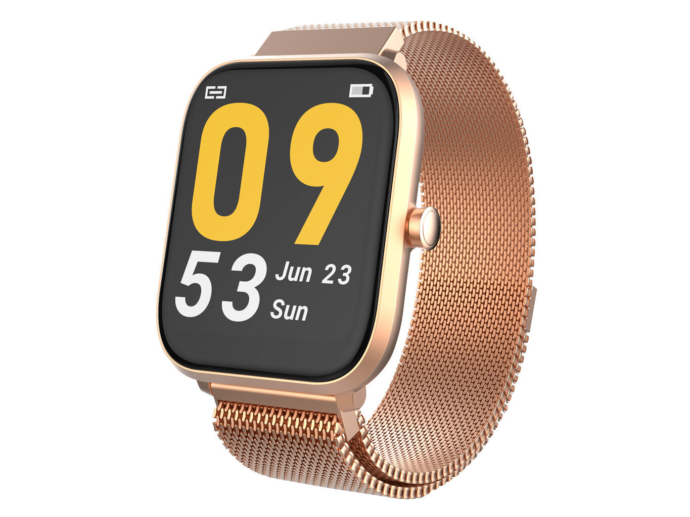 Trevi T-Fit 260 Plus цена и информация | Išmanieji laikrodžiai (smartwatch) | pigu.lt