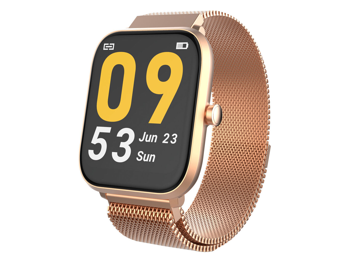 Trevi T-Fit 260 Plus Gold kaina ir informacija | Išmanieji laikrodžiai (smartwatch) | pigu.lt