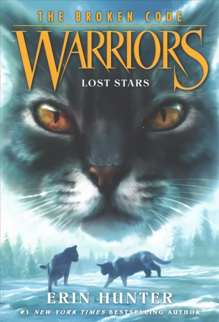 Warriors: The Broken Code #1: Lost Stars цена и информация | Knygos paaugliams ir jaunimui | pigu.lt