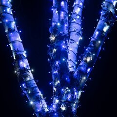 Профессиональная уличная гирлянда из 200 светодиодных лампочек Brosberg, синего цвета цена и информация | Гирлянды | pigu.lt