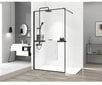 Rankšluosčių lentyna EVO BLACK dušo sienelėms kaina ir informacija | Priedai vonioms, dušo kabinoms | pigu.lt