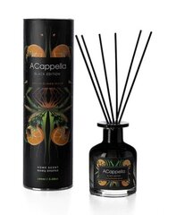 Namų kvapas su lazdelėmis Black Edition Vetiver & cedarwood 100 ml. kaina ir informacija | Aromika Kvepalai, kosmetika | pigu.lt