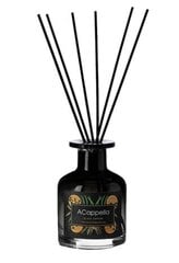 Namų kvapas su lazdelėmis Black Edition Vetiver & cedarwood 100 ml. kaina ir informacija | Aromika Kvepalai, kosmetika | pigu.lt