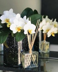 Namų kvapas su lazdelėmis ACappella Juodoji orchidėja 100 ml. цена и информация | Ароматы для дома | pigu.lt