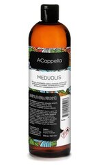 Namų kvapo papildymas ACappella Meduolis, 500 ml kaina ir informacija | Namų kvapai | pigu.lt