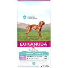 Eukanuba Daily Care Puppy Sensitive Digestion su vištiena ir ryžiais, 12 kg kaina ir informacija | Sausas maistas šunims | pigu.lt