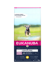 Eukanuba Puppy Grain Free S/M для собак мелких и средних пород с курицей, 3 кг цена и информация |  Сухой корм для собак | pigu.lt