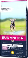 Eukanuba Grain Free Puppy mažų/vidutinių veislių šuniukams su vištiena, 12 kg цена и информация |  Сухой корм для собак | pigu.lt