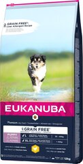 Eukanuba Puppy Grain Free L didelių veislių šuniukams, 12 kg kaina ir informacija | Sausas maistas šunims | pigu.lt