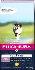 Eukanuba Puppy Grain Free L didelių veislių šuniukams, 12 kg kaina ir informacija | Sausas maistas šunims | pigu.lt