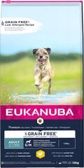 Eukanuba Grain Free Adult small/medium breed suuagusiems mažų/vidutinių veislių šunims su vištiena, 12 kg kaina ir informacija | Sausas maistas šunims | pigu.lt